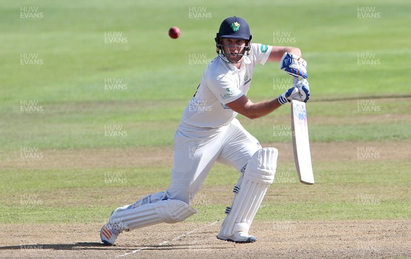 140917 - Glamorgan v Northamptonshire - Specsavers County Championship - Division Two - Chris Cooke of Glamorgan batting