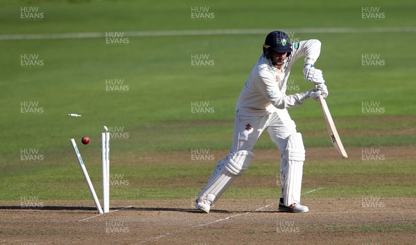 140917 - Glamorgan v Northamptonshire - Specsavers County Championship - Division Two - Lukas Carey of Glamorgan is bowled by Rory Kleinveldt of Northants