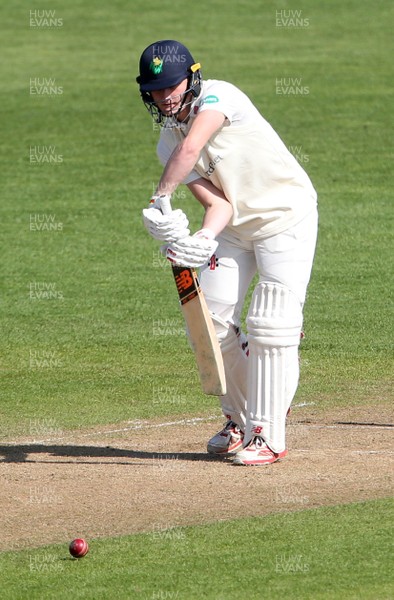 030417 - Glamorgan v Nottinghamshire - Pre Season Friendly - Aneurin Donald of Glamorgan batting