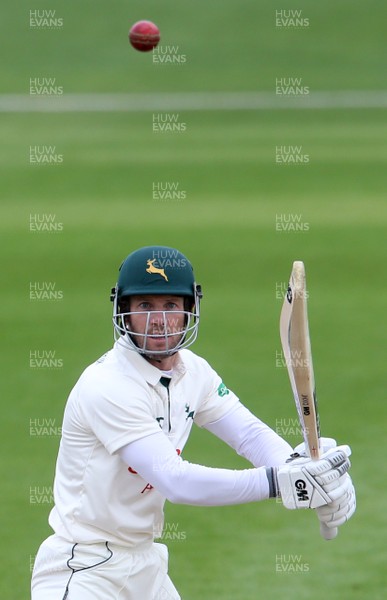 030417 - Glamorgan v Nottinghamshire - Pre Season Friendly - Chris Read of Nottinghamshire batting