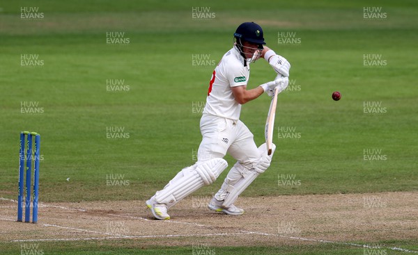 130722 - Glamorgan v Nottinghamshire - LV= County Championship Division Two - David Lloyd of Glamorgan batting