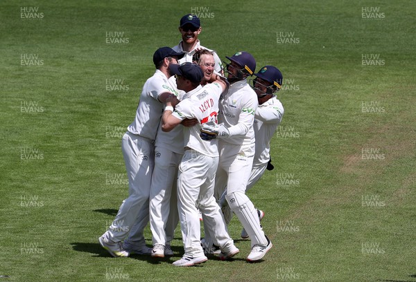 140722 - Glamorgan v Nottinghamshire - LV= County Championship Division Two - Colin Ingram of Glamorgan celebrates with team mates after bowling and catching Ben Slater of Nottinghamshire