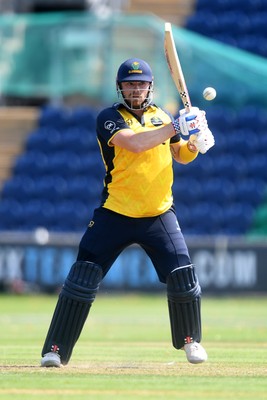 170825 - Glamorgan v Nottinghamshire - Metro Bank One Day Cup - Dan Douthwaite of Glamorgan batting