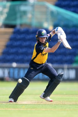 170825 - Glamorgan v Nottinghamshire - Metro Bank One Day Cup - Andy Gorvin of Glamorgan batting