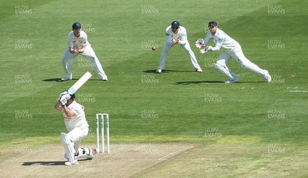 190517 - Glamorgan v Nottinghamshire, Specsavers County Championship - Chris Cooke of Glamorgan catches Steven Mullaney of Nottinghamshire off the bowling of Timm van der Gugten