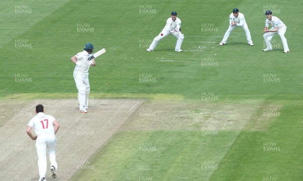 190517 - Glamorgan v Nottinghamshire, Specsavers County Championship - Chris Cooke of Glamorgan dives to catch Michael Lumb of Nottinghamshire off the bowling of Lukas Carey of Glamorgan