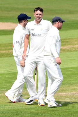 080526 - Glamorgan v Somerset - Rothesay County Championship -  Ryan Hadley of Glamorgan bowls the ball to dismiss Josh Thomas of Somerset