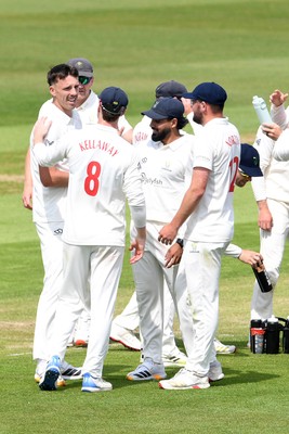 080526 - Glamorgan v Somerset - Rothesay County Championship -  Ryan Hadley of Glamorgan bowls the ball to dismiss Josh Thomas of Somerset