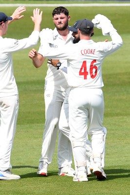 080526 - Glamorgan v Somerset - Rothesay County Championship -  Tom Norton of Glamorgan celebrates with team mates after taking the wicket of Archie Vaughan of Somerset