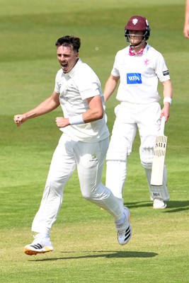 080526 - Glamorgan v Somerset - Rothesay County Championship -  Ryan Hadley of Glamorgan bowling