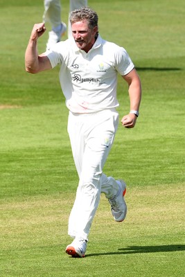 080526 - Glamorgan v Somerset - Rothesay County Championship -  Timm Van Der Gugten of Glamorgan celebrates after bowling the ball to dismiss Will Smeed of Somerset