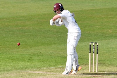 080526 - Glamorgan v Somerset - Rothesay County Championship -  Tom Abell of Somerset batting