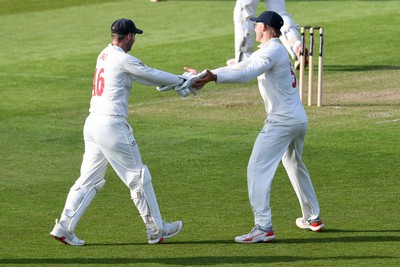 080526 - Glamorgan v Somerset - Rothesay County Championship -  Asa Tribe of Glamorgan catches the ball to dismiss Lewis Gregory of Somerset