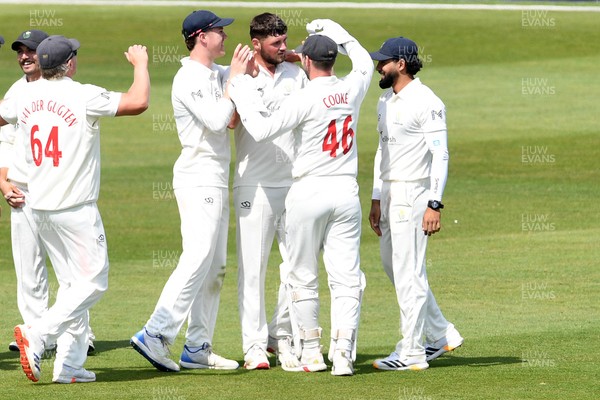 080526 - Glamorgan v Somerset - Rothesay County Championship -  Tom Norton of Glamorgan celebrates with team mates after taking the wicket of Archie Vaughan of Somerset