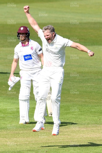 080526 - Glamorgan v Somerset - Rothesay County Championship -  Timm Van Der Gugten of Glamorgan celebrates after bowling the ball to dismiss Will Smeed of Somerset