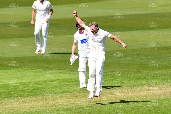 080526 - Glamorgan v Somerset - Rothesay County Championship -  Timm Van Der Gugten of Glamorgan celebrates after bowling the ball to dismiss Will Smeed of Somerset
