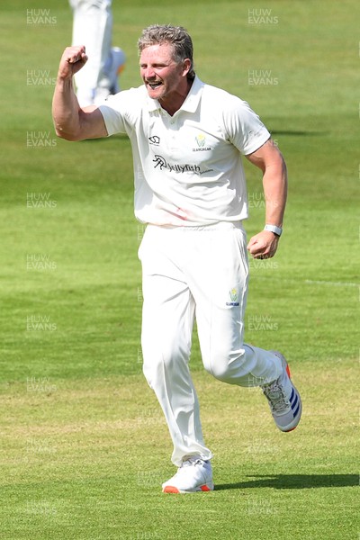 080526 - Glamorgan v Somerset - Rothesay County Championship -  Timm Van Der Gugten of Glamorgan celebrates after bowling the ball to dismiss Will Smeed of Somerset