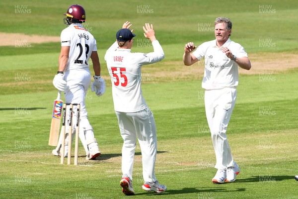 080526 - Glamorgan v Somerset - Rothesay County Championship -  Timm Van Der Gugten of Glamorgan celebrates after bowling the ball to dismiss Will Smeed of Somerset