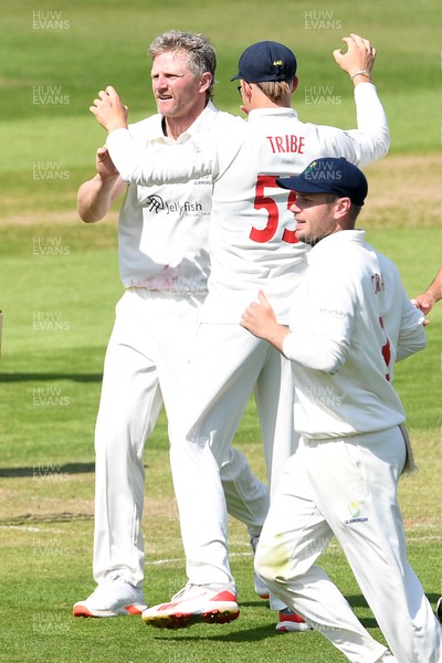 080526 - Glamorgan v Somerset - Rothesay County Championship -  Timm Van Der Gugten of Glamorgan celebrates after bowling the ball to dismiss Will Smeed of Somerset