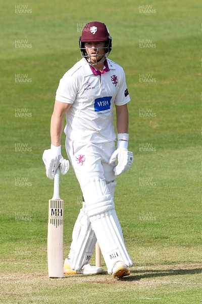 080526 - Glamorgan v Somerset - Rothesay County Championship -  Tom Abell of Somerset hits 50