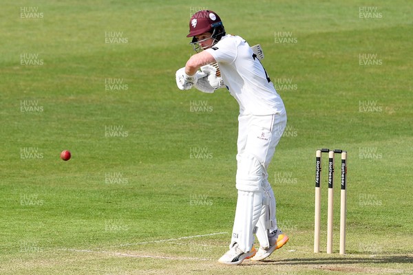 080526 - Glamorgan v Somerset - Rothesay County Championship -  Tom Abell of Somerset batting