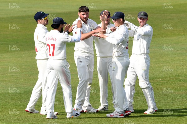 080526 - Glamorgan v Somerset - Rothesay County Championship -  Asa Tribe of Glamorgan celebrates with team mates after he catches the ball to dismiss Craig Overton of Somerset