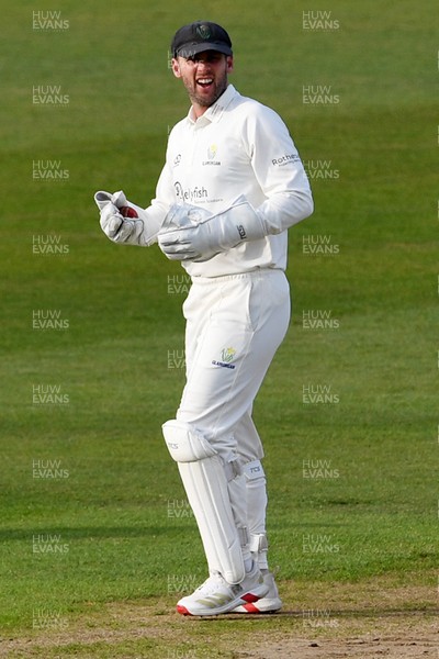 080526 - Glamorgan v Somerset - Rothesay County Championship -  Chris Cooke of Glamorgan celebrates with Asa Tribe after he catches the last ball of the day to dismiss Migael Pretorius of Somerset