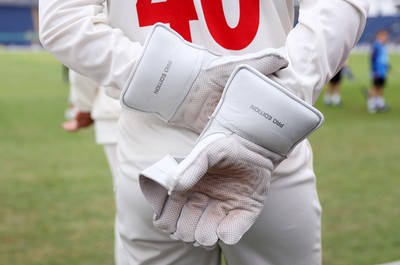 100526 - Glamorgan v Somerset - Rothesay County Championship, Division One - Chris Cooke of Glamorgan�s gloves