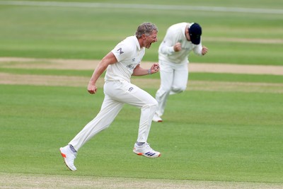 100526 - Glamorgan v Somerset - Rothesay County Championship, Division One - Timm Van Der Gugten of Glamorgan celebrates taking the wicket of Craig Overton who was caught by Asa Tribe