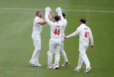 100526 - Glamorgan v Somerset - Rothesay County Championship, Division One - Timm Van Der Gugten of Glamorgan celebrates taking the wicket of Craig Overton who was caught by Asa Tribe