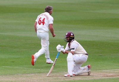 100526 - Glamorgan v Somerset - Rothesay County Championship, Division One - Timm Van Der Gugten of Glamorgan celebrates taking the wicket of Lewis Gregory