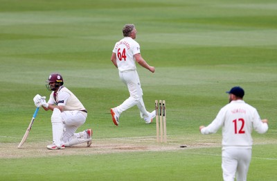 100526 - Glamorgan v Somerset - Rothesay County Championship, Division One - Timm Van Der Gugten of Glamorgan celebrates taking the wicket of Lewis Gregory