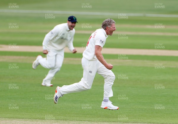 100526 - Glamorgan v Somerset - Rothesay County Championship, Division One - Timm Van Der Gugten of Glamorgan celebrates taking the wicket of Craig Overton who was caught by Asa Tribe