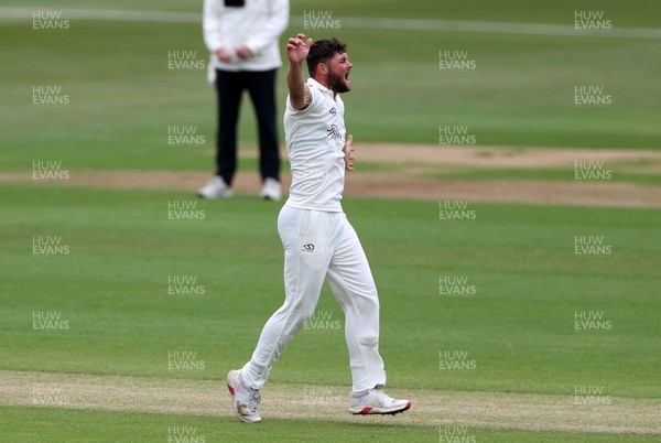 100526 - Glamorgan v Somerset - Rothesay County Championship, Division One - Tom Norton of Glamorgan appeals for a wicket