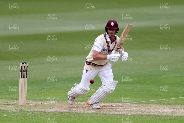 100526 - Glamorgan v Somerset - Rothesay County Championship, Division One - Tom Abell of Somerset batting