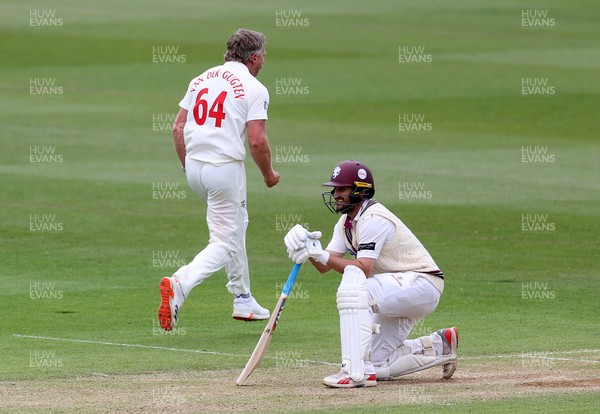 100526 - Glamorgan v Somerset - Rothesay County Championship, Division One - Timm Van Der Gugten of Glamorgan celebrates taking the wicket of Lewis Gregory