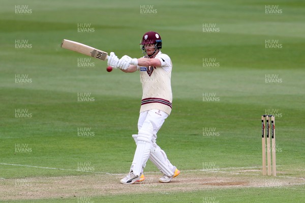100526 - Glamorgan v Somerset - Rothesay County Championship, Division One - Tom Abell of Somerset batting