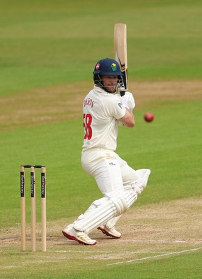 110526 - Glamorgan v Somerset, Rothesay County Championship Division 1, Day 4 of 4 - Sean Dickson of Glamorgan plays a shot
