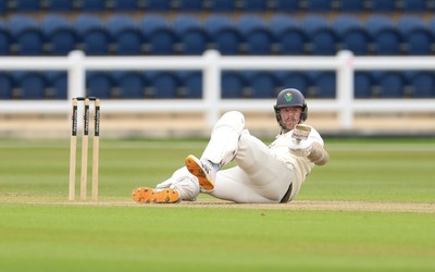 110526 - Glamorgan v Somerset, Rothesay County Championship Division 1, Day 4 of 4 - Ryan Hadley of Glamorgan takes a strike to the helmet