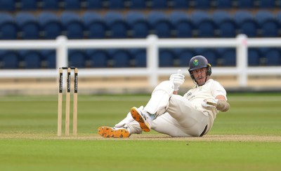 110526 - Glamorgan v Somerset, Rothesay County Championship Division 1, Day 4 of 4 - Ryan Hadley of Glamorgan takes a strike to the helmet