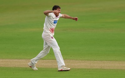 110526 - Glamorgan v Somerset, Rothesay County Championship Division 1, Day 4 of 4 - Migael Pretorius of Somerset celebrates as he takes the wicket of Chris Cooke of Glamorgan