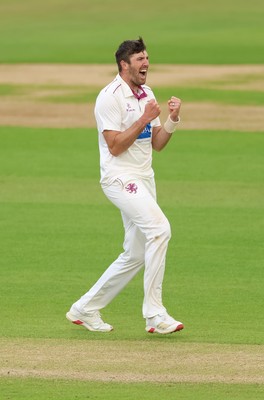 110526 - Glamorgan v Somerset, Rothesay County Championship Division 1, Day 4 of 4 - Craig Overton of Somerset celebrates after taking the wicket of Timm van der Gugten of Glamorgan