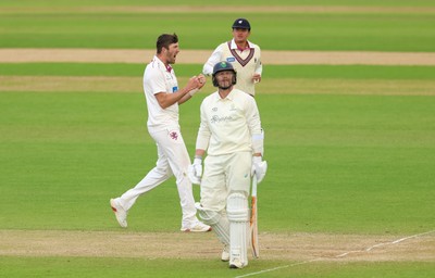 110526 - Glamorgan v Somerset, Rothesay County Championship Division 1, Day 4 of 4 - Craig Overton of Somerset celebrates after taking the wicket of Timm van der Gugten of Glamorgan