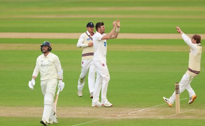 110526 - Glamorgan v Somerset, Rothesay County Championship Division 1, Day 4 of 4 - Craig Overton of Somerset celebrates after taking the wicket of Timm van der Gugten of Glamorgan
