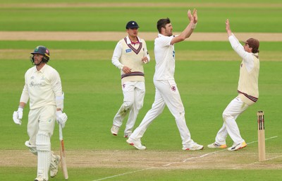 110526 - Glamorgan v Somerset, Rothesay County Championship Division 1, Day 4 of 4 - Craig Overton of Somerset celebrates after taking the wicket of Timm van der Gugten of Glamorgan
