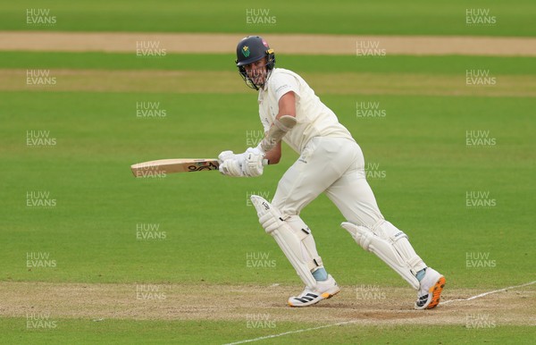 110526 - Glamorgan v Somerset, Rothesay County Championship Division 1, Day 4 of 4 - Ryan Hadley of Glamorgan plays