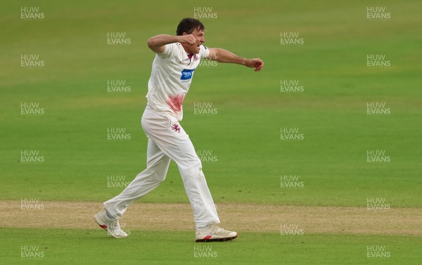 110526 - Glamorgan v Somerset, Rothesay County Championship Division 1, Day 4 of 4 - Migael Pretorius of Somerset celebrates as he takes the wicket of Chris Cooke of Glamorgan