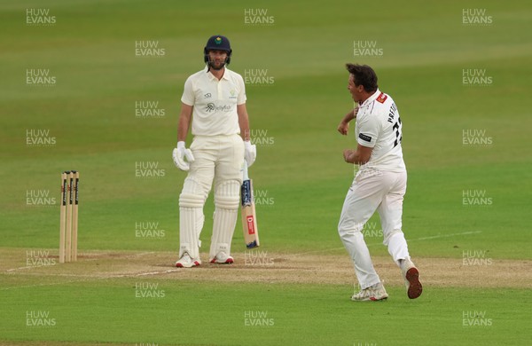 110526 - Glamorgan v Somerset, Rothesay County Championship Division 1, Day 4 of 4 - Migael Pretorius of Somerset celebrates as he takes the wicket of Chris Cooke of Glamorgan