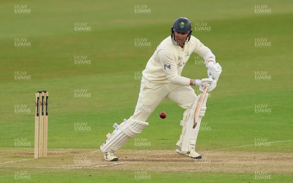 110526 - Glamorgan v Somerset, Rothesay County Championship Division 1, Day 4 of 4 - Timm van der Gugten of Glamorgan plays a shot
