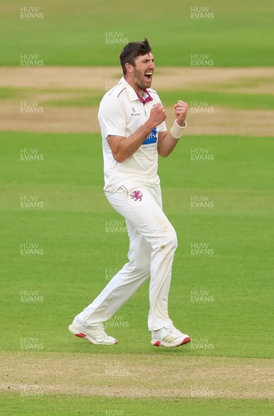 110526 - Glamorgan v Somerset, Rothesay County Championship Division 1, Day 4 of 4 - Craig Overton of Somerset celebrates after taking the wicket of Timm van der Gugten of Glamorgan
